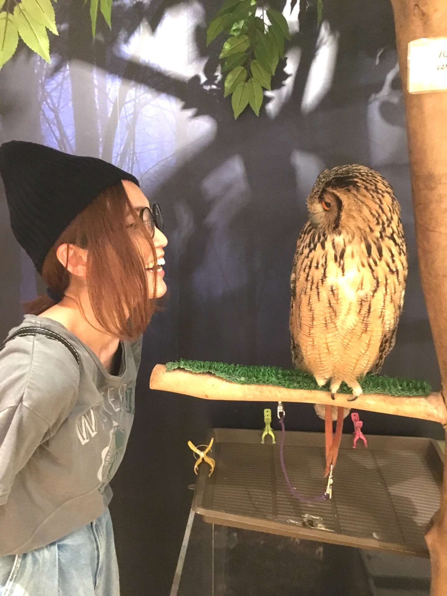 スタッフブログはじめました！